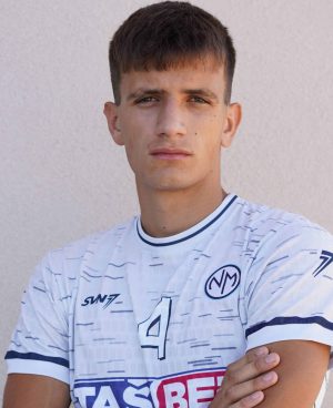 Nemanja-Lukic-s